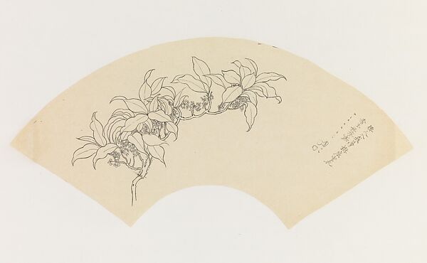 Flowering Branch and Poem, after Yun Shouping, Xie Zhiliu (Chinese, 1910–1997), Drawing; ink on tracing paper, China 