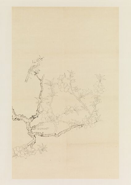 Bird Chattering on a Blossoming Peach, Xie Zhiliu (Chinese, 1910–1997), Drawing mounted as a hanging scroll; ink on tracing paper, China 