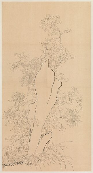 Chrysanthemums and Rock, Xie Zhiliu (Chinese, 1910–1997), Drawing mounted as a hanging scroll; ink on paper, China 