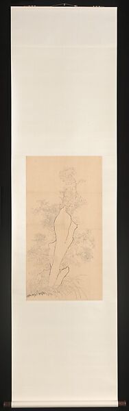 Chrysanthemums and Rock, Xie Zhiliu (Chinese, 1910–1997), Drawing mounted as a hanging scroll; ink on paper, China