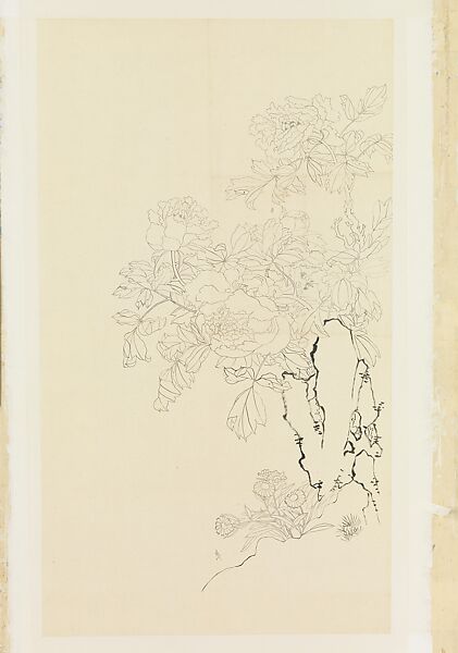 Peonies, Asters, and Rock, Xie Zhiliu (Chinese, 1910–1997), Drawing mounted as a hanging scroll; ink on paper, China 