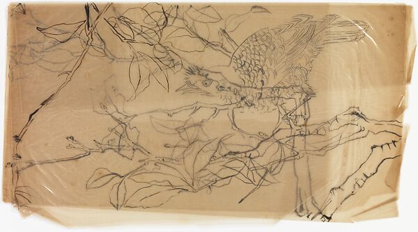 Bird on a Branch, Xie Zhiliu (Chinese, 1910–1997), Unmounted drawing; ink on cellophane, China 