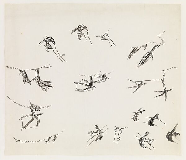 Birds' Feet, Xie Zhiliu (Chinese, 1910–1997), Drawing; ink on paper, China 