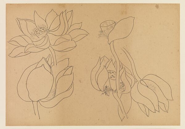 Lotus Studies, Xie Zhiliu (Chinese, 1910–1997), Drawings from a set of eighteen sheets; pencil and ink on paper, China