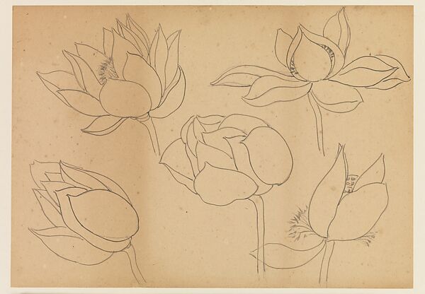Lotus Studies, Xie Zhiliu (Chinese, 1910–1997), Drawings from a set of eighteen sheets; pencil and ink on paper, China