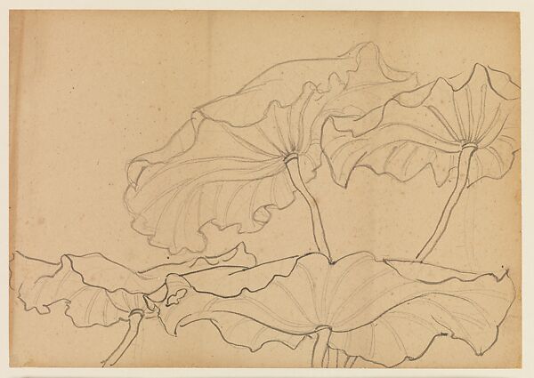 Lotus Studies, Xie Zhiliu (Chinese, 1910–1997), Drawings from a set of eighteen sheets; pencil and ink on paper, China