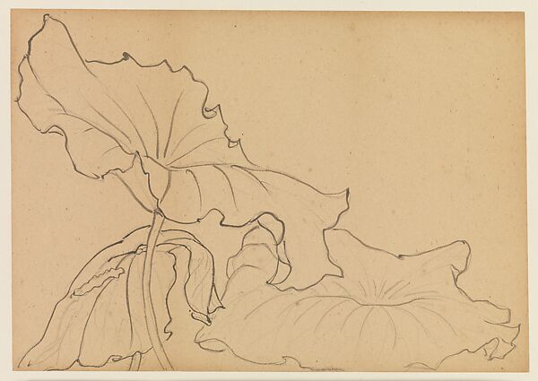 Lotus Studies, Xie Zhiliu (Chinese, 1910–1997), Drawings from a set of eighteen sheets; pencil and ink on paper, China