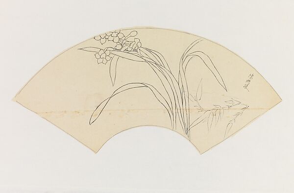 Flowering Plant after Chen Hongshou, Xie Zhiliu (Chinese, 1910–1997), Drawing; ink with pencil and charcoal underdrawing on tracing paper, China 