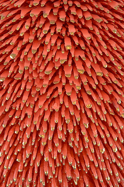 Big Baby Accretion, The Haas Brothers (American, born Austin, Texas, 1984), Ceramic