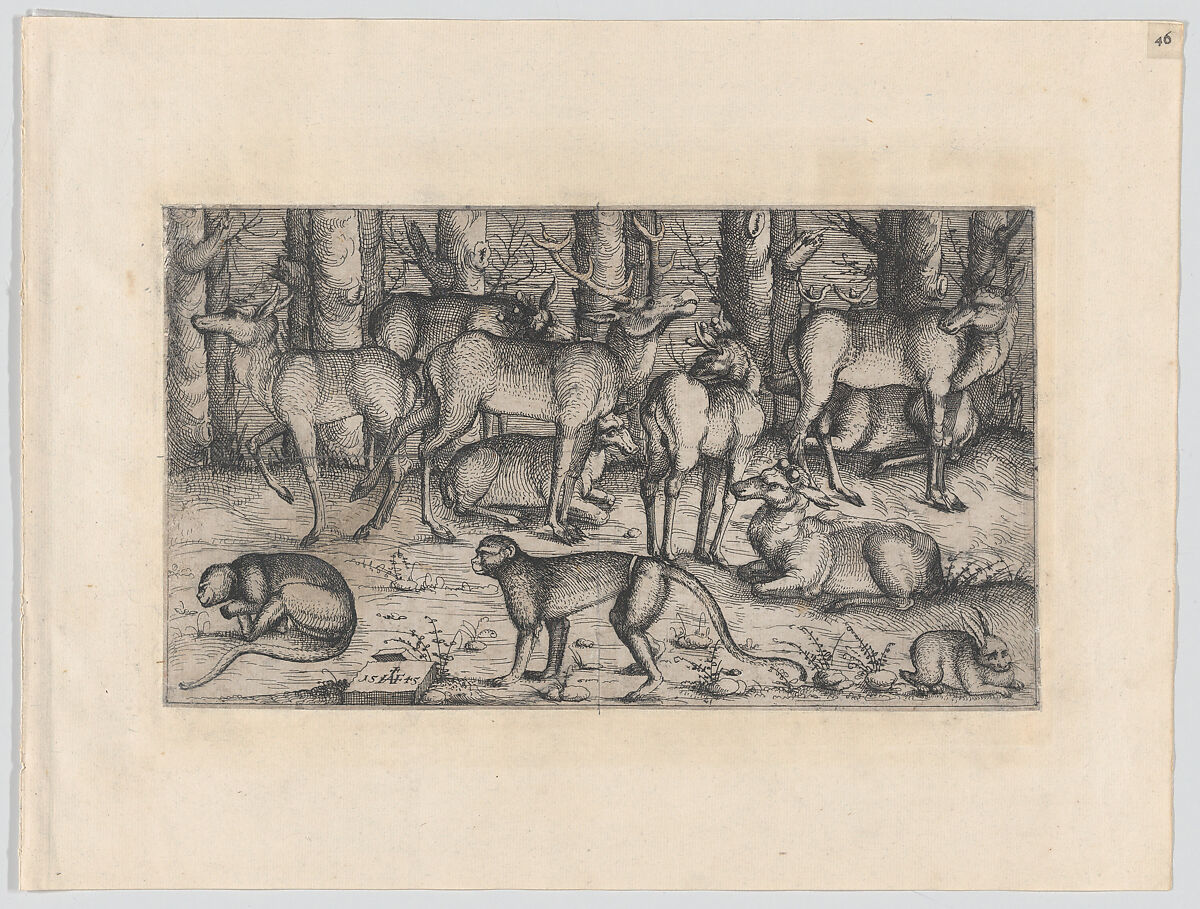 Stags in the Forest, Augustin Hirschvogel (German, Nuremberg 1503–1553 Vienna), Etching 