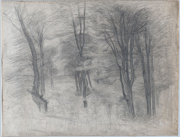 Slender Trees on a Hill, Vilhelm Hammershøi (Danish, Copenhagen 1864–1916 Copenhagen), Graphite, incised for transfer; verso: made black with graphite, chalk or charcoal 