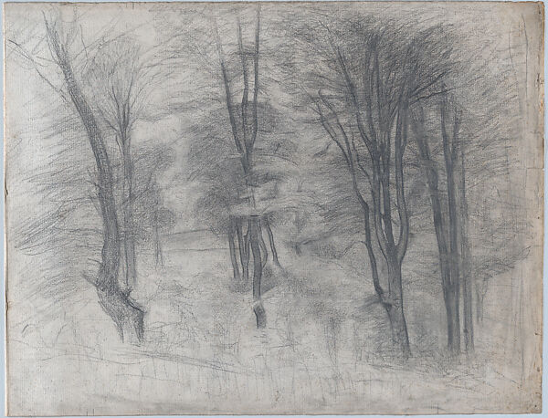 Slender Trees on a Hill, Vilhelm Hammershøi  Danish, Graphite, incised for transfer; verso: made black with graphite, chalk or charcoal