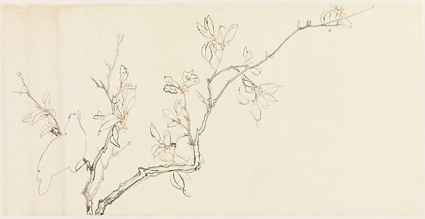 Bird on a Branch, Xie Zhiliu (Chinese, 1910–1997), Drawing; ink on paper, China 
