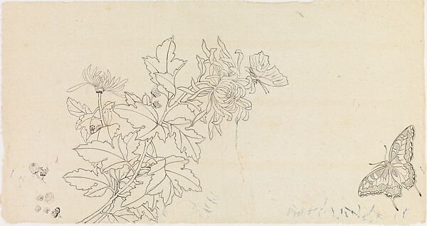 Chrysanthemums and Butterflies, Xie Zhiliu (Chinese, 1910–1997), Drawing; ink and pencil on paper, China 