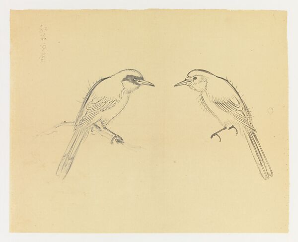Mirror-images of a Bird, Xie Zhiliu (Chinese, 1910–1997), Two-sided drawing; pencil and ink on paper and ink on paper, China 