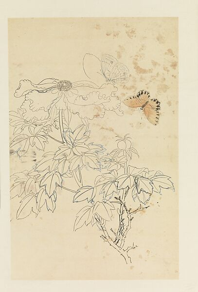 Peonies and Butterflies, Xie Zhiliu (Chinese, 1910–1997), Drawing mounted as a hanging scroll; ink and color on paper, China 