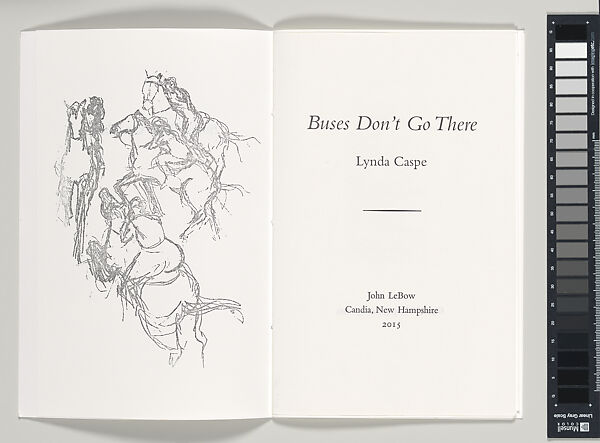 Buses Don't Go There, Lynda Caspe (American), Book 