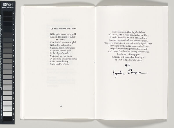 Buses Don't Go There, Lynda Caspe (American), Book