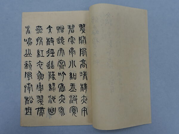 Manuscript in Seal Script, Xie Zhiliu (Chinese, 1910–1997), Booklet; ink on paper, China