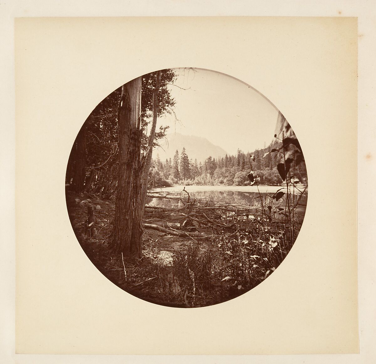 [Yosemite National Park, California], Carleton E. Watkins (American, 1829–1916), Albumen silver print from glass negative 