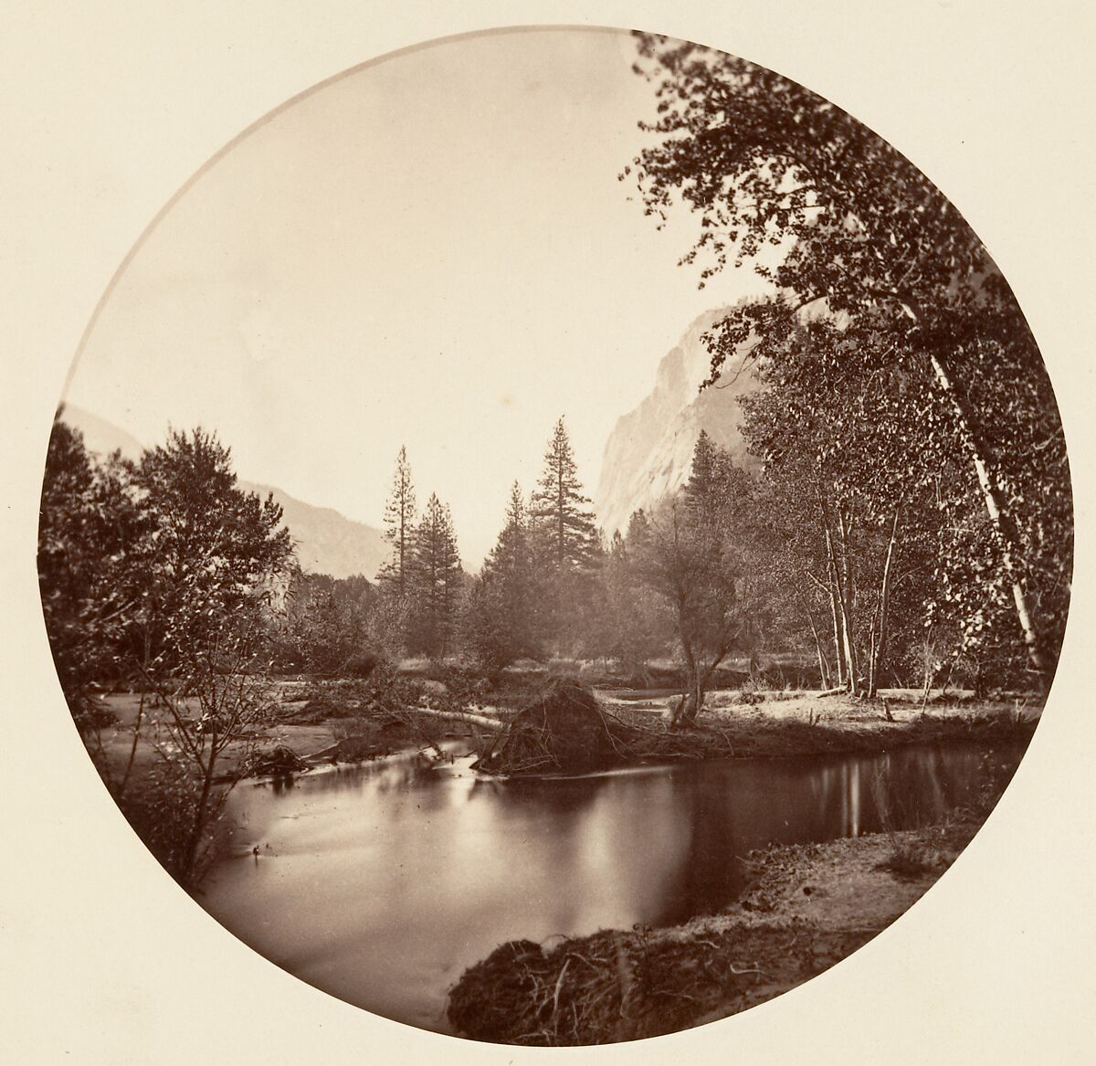 [Yosemite National Park, California], Carleton E. Watkins (American, 1829–1916), Albumen silver print from glass negative 