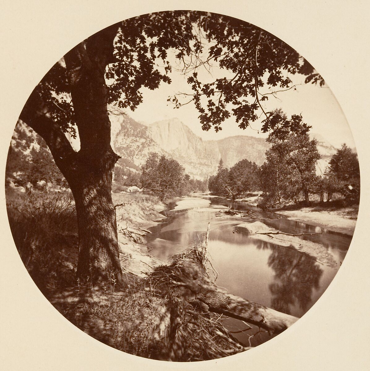 [Yosemite National Park, California], Carleton E. Watkins (American, 1829–1916), Albumen silver print from glass negative 