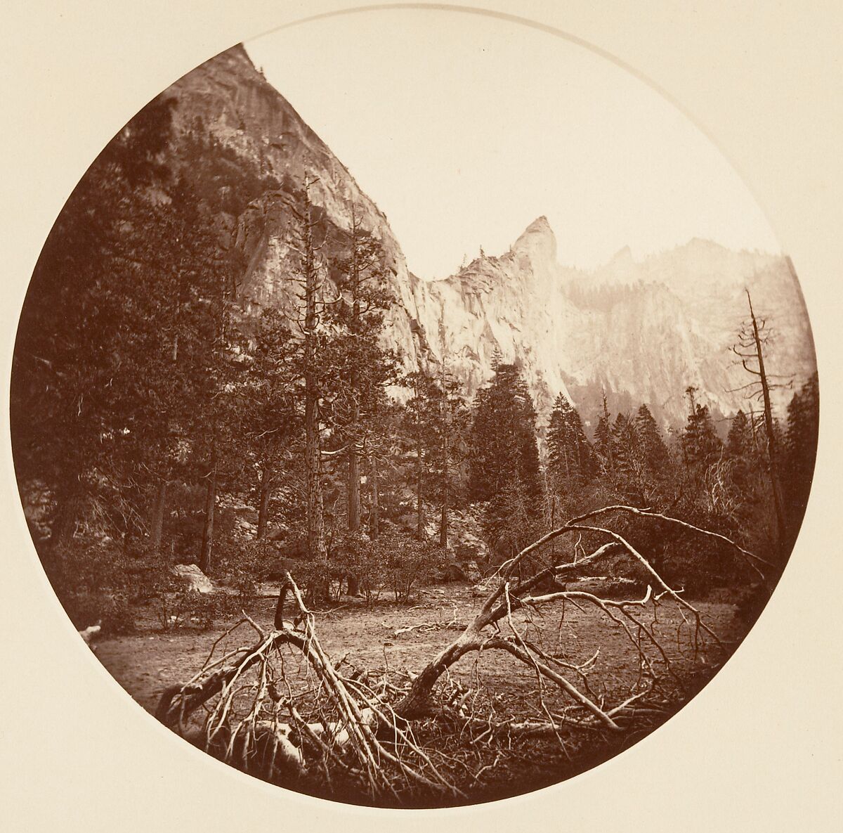 [Yosemite National Park, California], Carleton E. Watkins (American, 1829–1916), Albumen silver print from glass negative 