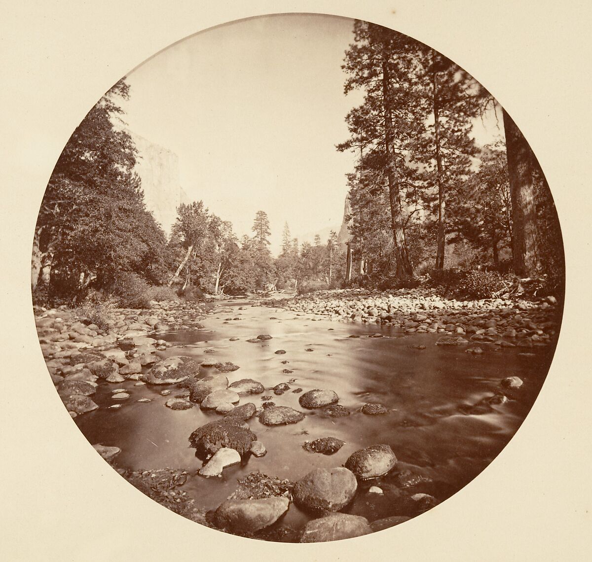 [Yosemite National Park, California], Carleton E. Watkins (American, 1829–1916), Albumen silver print from glass negative 