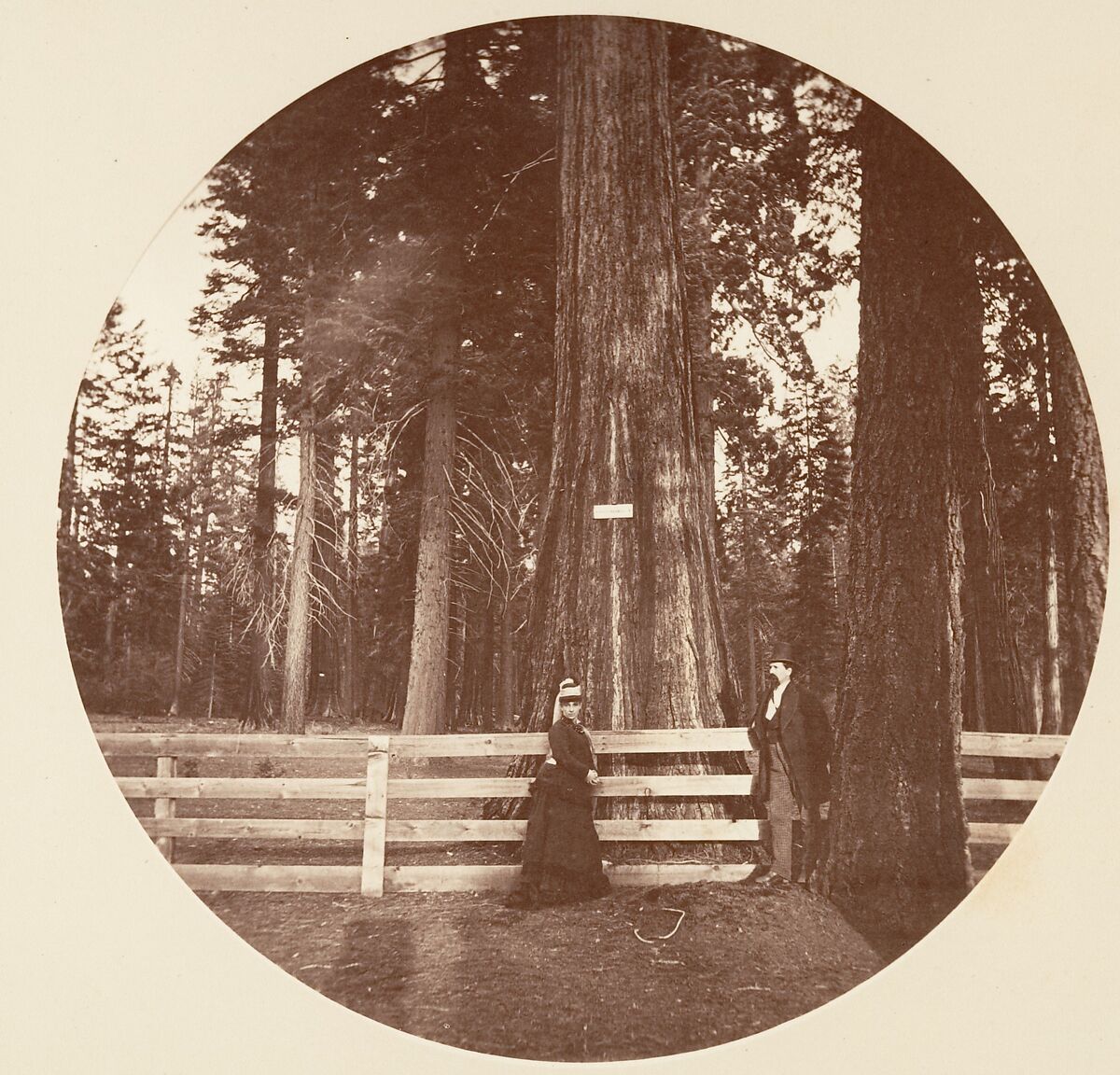 Auld Reckie. C. Grove, Carleton E. Watkins (American, 1829–1916), Albumen silver print from glass negative 