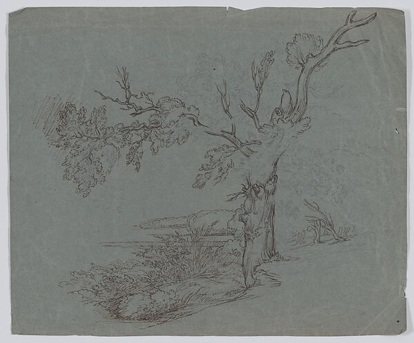 Landscape with a tree in the foreground