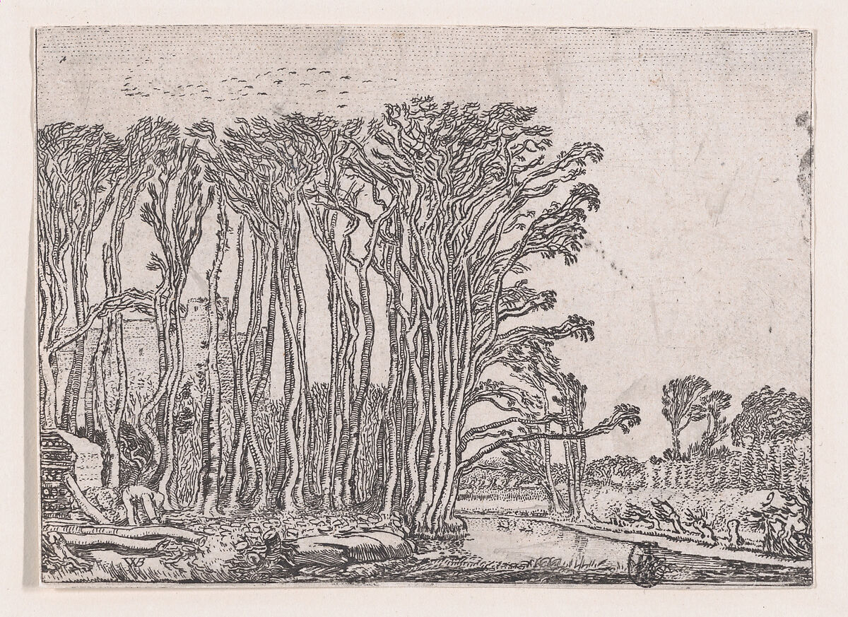 The Charcoal-Burner, from "Verscheyden Landtschapjes" (Various Little Landscapes), Plate 9, Willem Pietersz Buytewech (Dutch, Rotterdam 1591/92–1624), Etching; Begemann's third state of three 