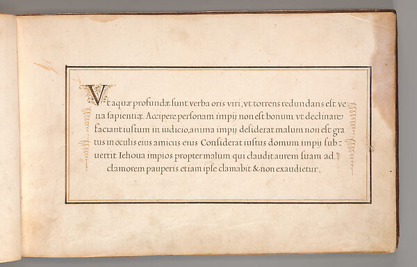Calligraphic Exercise in Latin