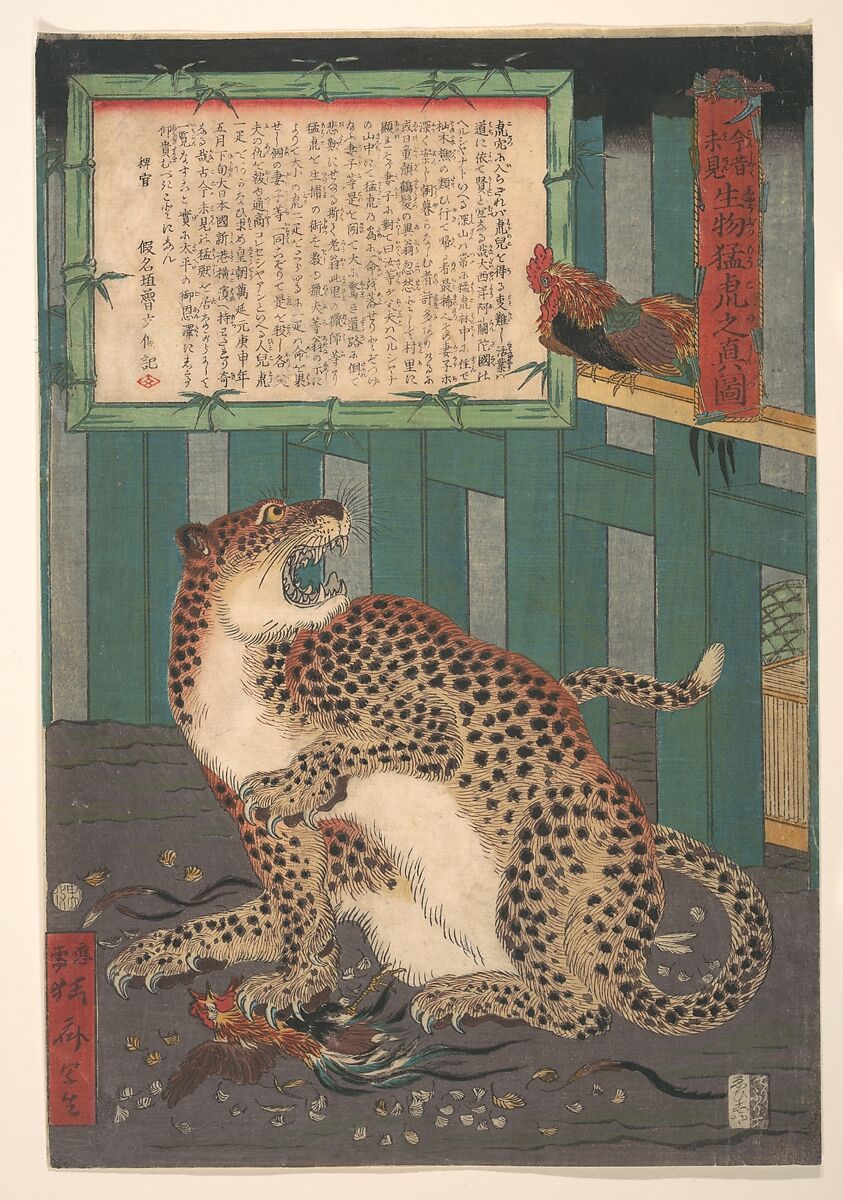 Never Seen Before: True Picture of a Live Wild Tiger (Konjaku miken, Ikimono mōko no shinzu), Kawanabe Kyōsai 河鍋暁斎 (Japanese, 1831–1889), Woodblock print; ink and color on paper, Japan 