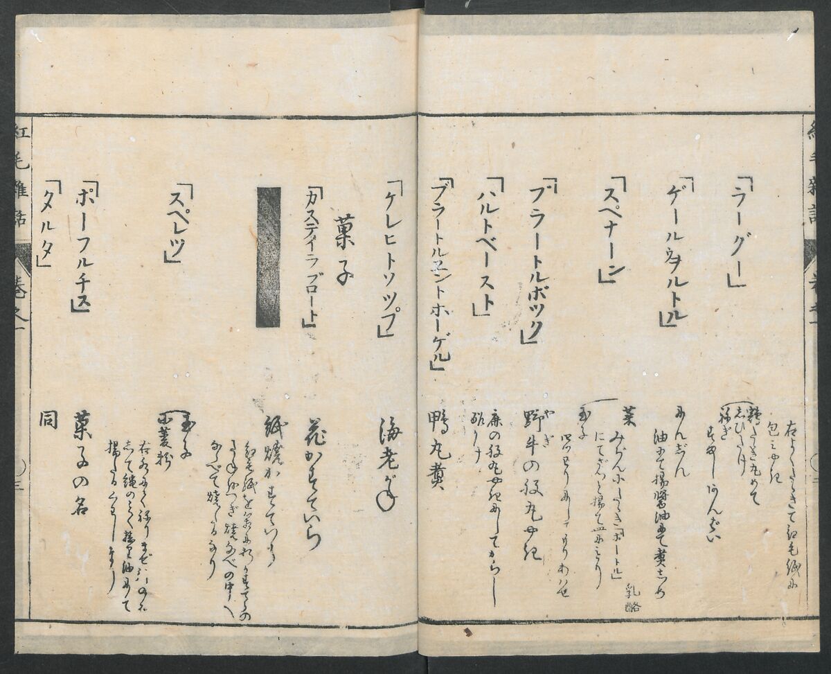 Chats on Novelties of Foreign Lands (Kōmōzatsuwa 紅毛雑話), Five volumes of woodblock printed books; ink on paper, Japan