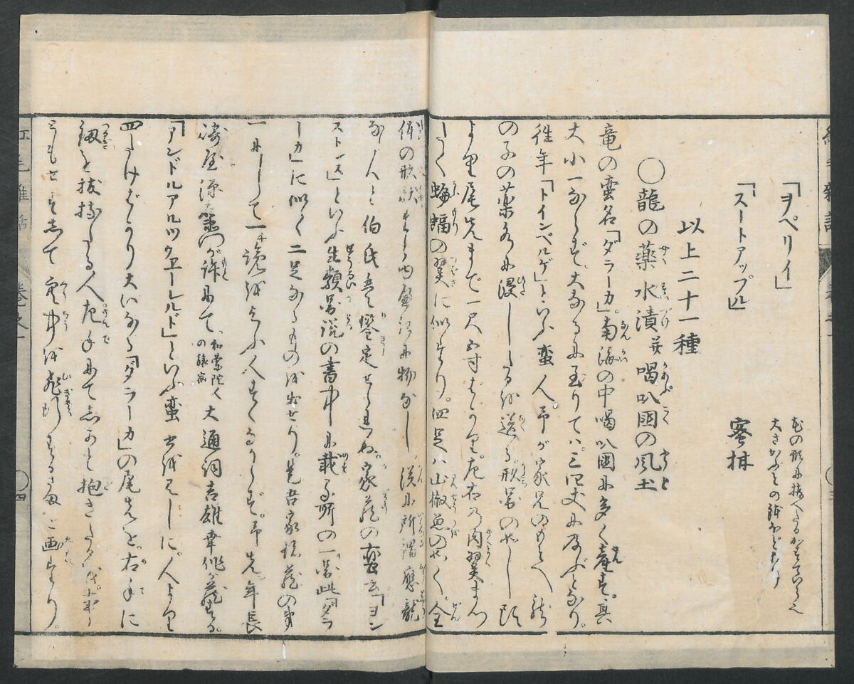 Chats on Novelties of Foreign Lands (Kōmōzatsuwa 紅毛雑話), Five volumes of woodblock printed books; ink on paper, Japan