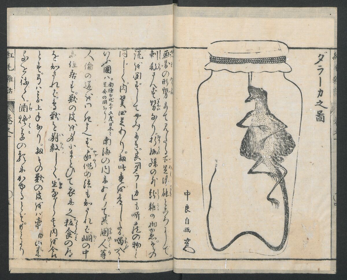 Chats on Novelties of Foreign Lands (Kōmōzatsuwa 紅毛雑話), Five volumes of woodblock printed books; ink on paper, Japan