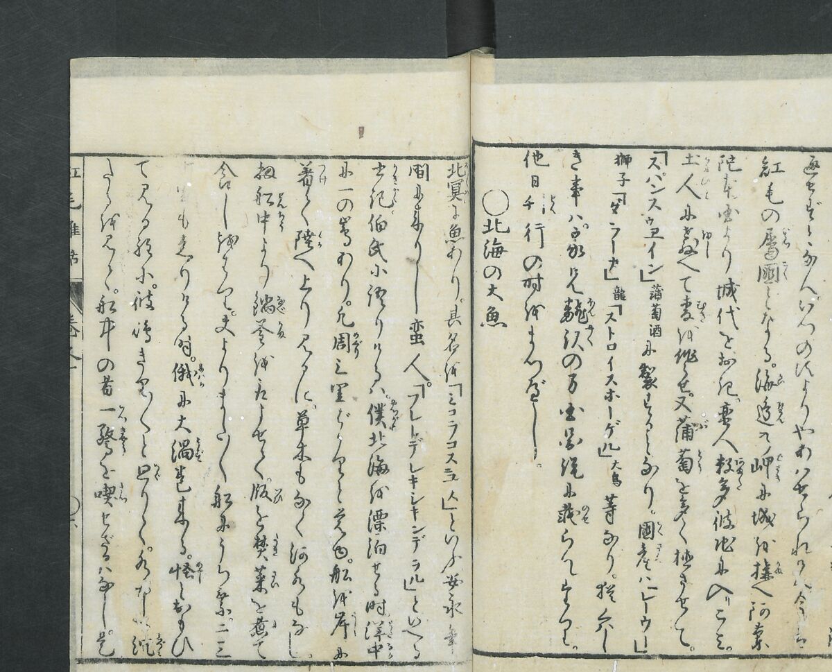 Chats on Novelties of Foreign Lands (Kōmōzatsuwa 紅毛雑話), Five volumes of woodblock printed books; ink on paper, Japan