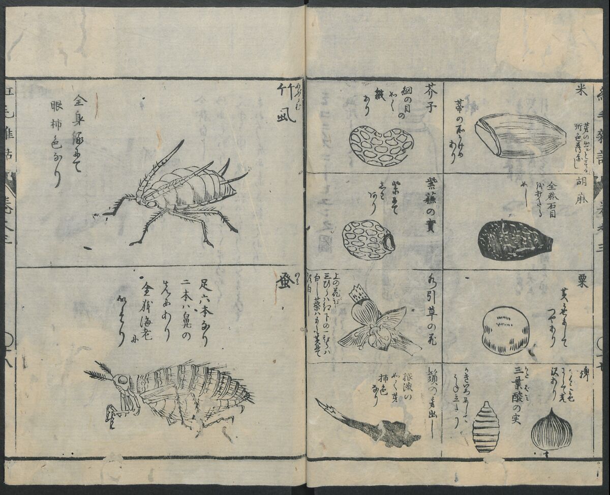 Chats on Novelties of Foreign Lands (Kōmōzatsuwa 紅毛雑話), Five volumes of woodblock printed books; ink on paper, Japan