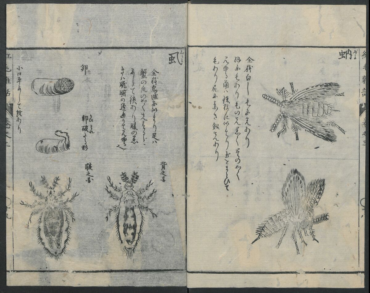 Chats on Novelties of Foreign Lands (Kōmōzatsuwa 紅毛雑話), Five volumes of woodblock printed books; ink on paper, Japan