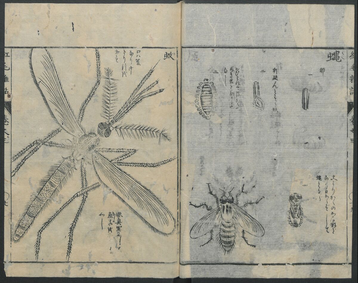 Chats on Novelties of Foreign Lands (Kōmōzatsuwa 紅毛雑話), Five volumes of woodblock printed books; ink on paper, Japan