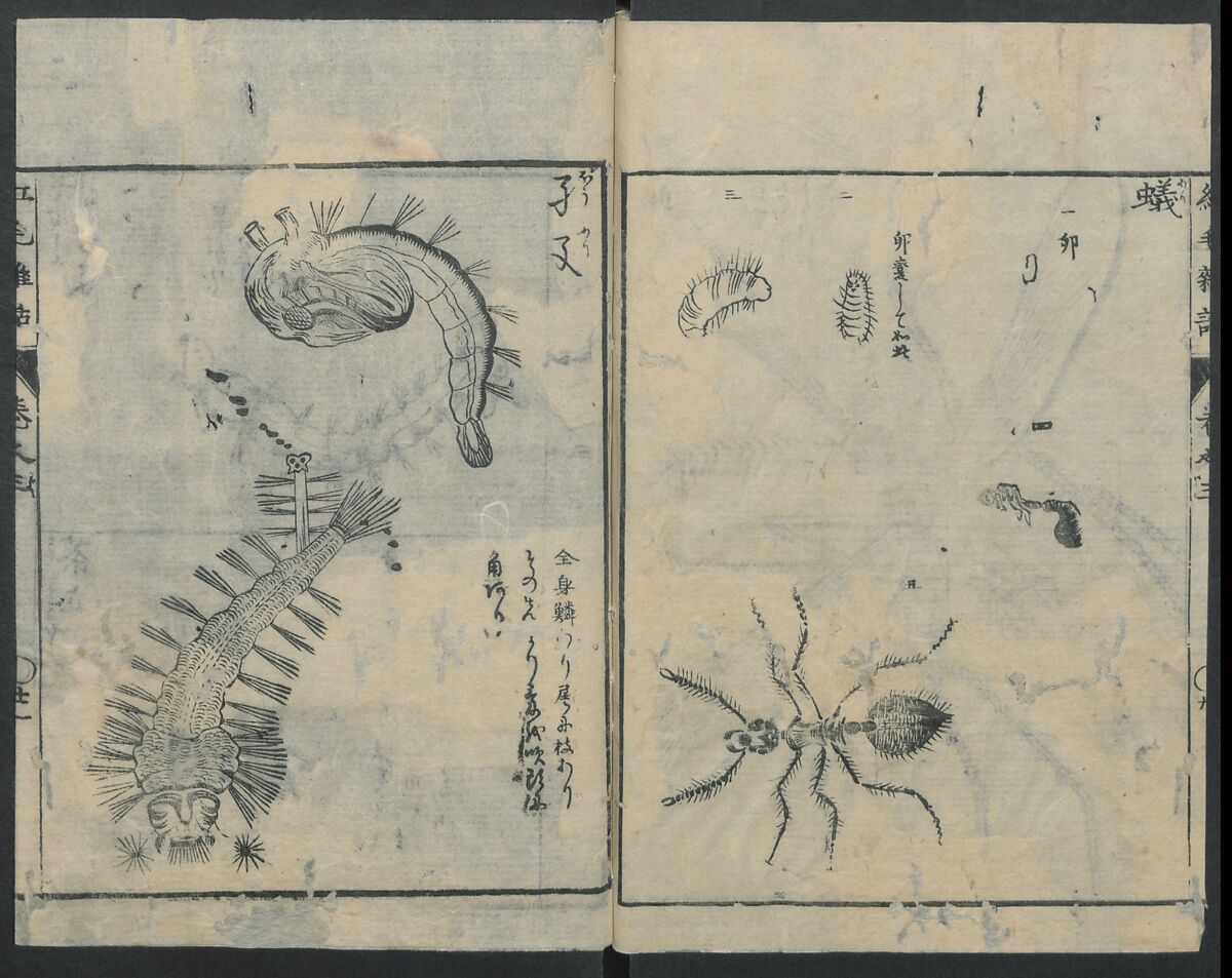 Chats on Novelties of Foreign Lands (Kōmōzatsuwa 紅毛雑話), Five volumes of woodblock printed books; ink on paper, Japan