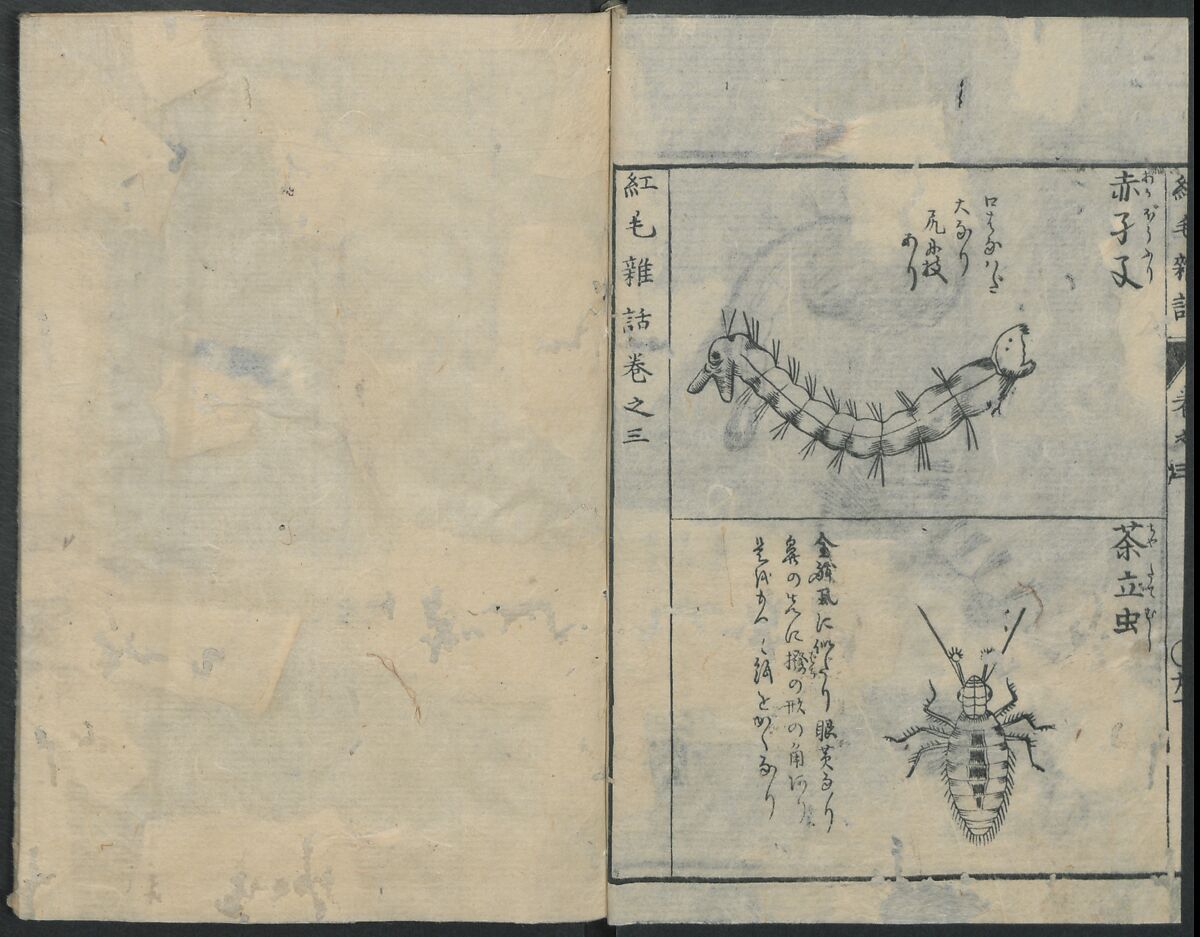 Chats on Novelties of Foreign Lands (Kōmōzatsuwa 紅毛雑話), Five volumes of woodblock printed books; ink on paper, Japan