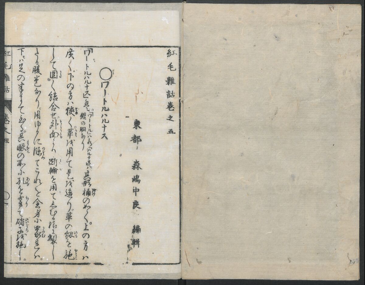 Chats on Novelties of Foreign Lands (Kōmōzatsuwa 紅毛雑話), Five volumes of woodblock printed books; ink on paper, Japan