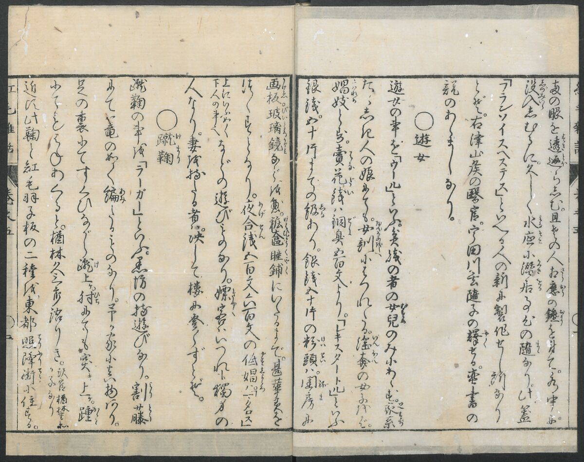 Chats on Novelties of Foreign Lands (Kōmōzatsuwa 紅毛雑話), Five volumes of woodblock printed books; ink on paper, Japan