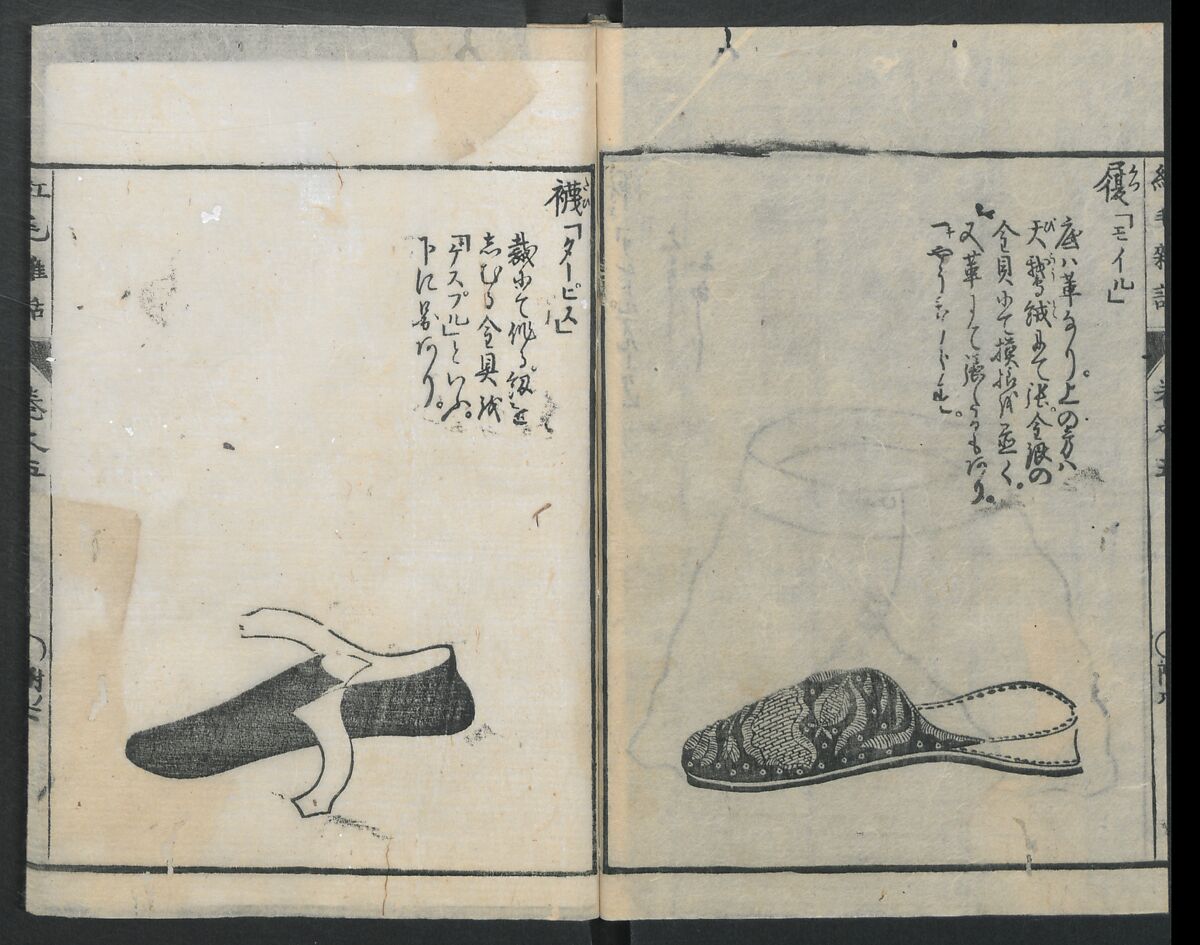 Chats on Novelties of Foreign Lands (Kōmōzatsuwa 紅毛雑話), Five volumes of woodblock printed books; ink on paper, Japan