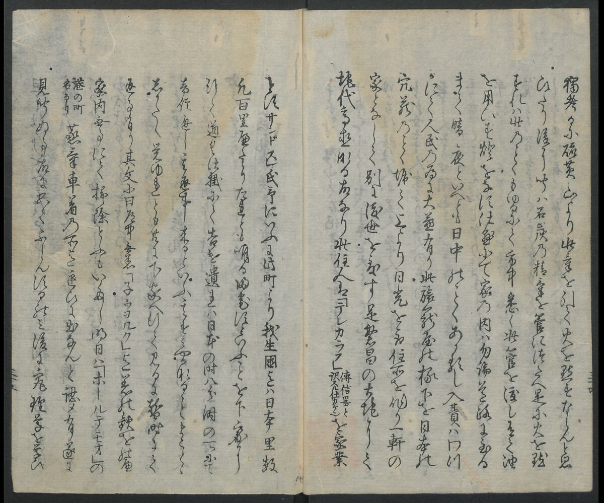 Memoirs of a Castaway (Hyōryūki) 流記, Hamada Hikozō  浜田彦蔵 (1837–1897) (Joseph Heco), Two volumes of woodblock printed books; ink on paper, Japan