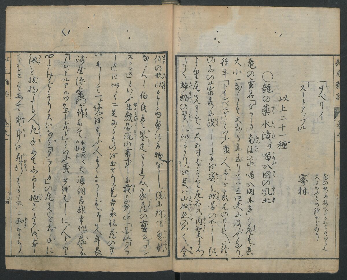Chats on Novelties of Foreign Lands (Kōmōzatsuwa) 紅毛雑話, Shiba Kōkan 司馬江漢 (Japanese, 1747–1818), Five volumes of woodblock printed books bound as one; ink on paper,, Japan