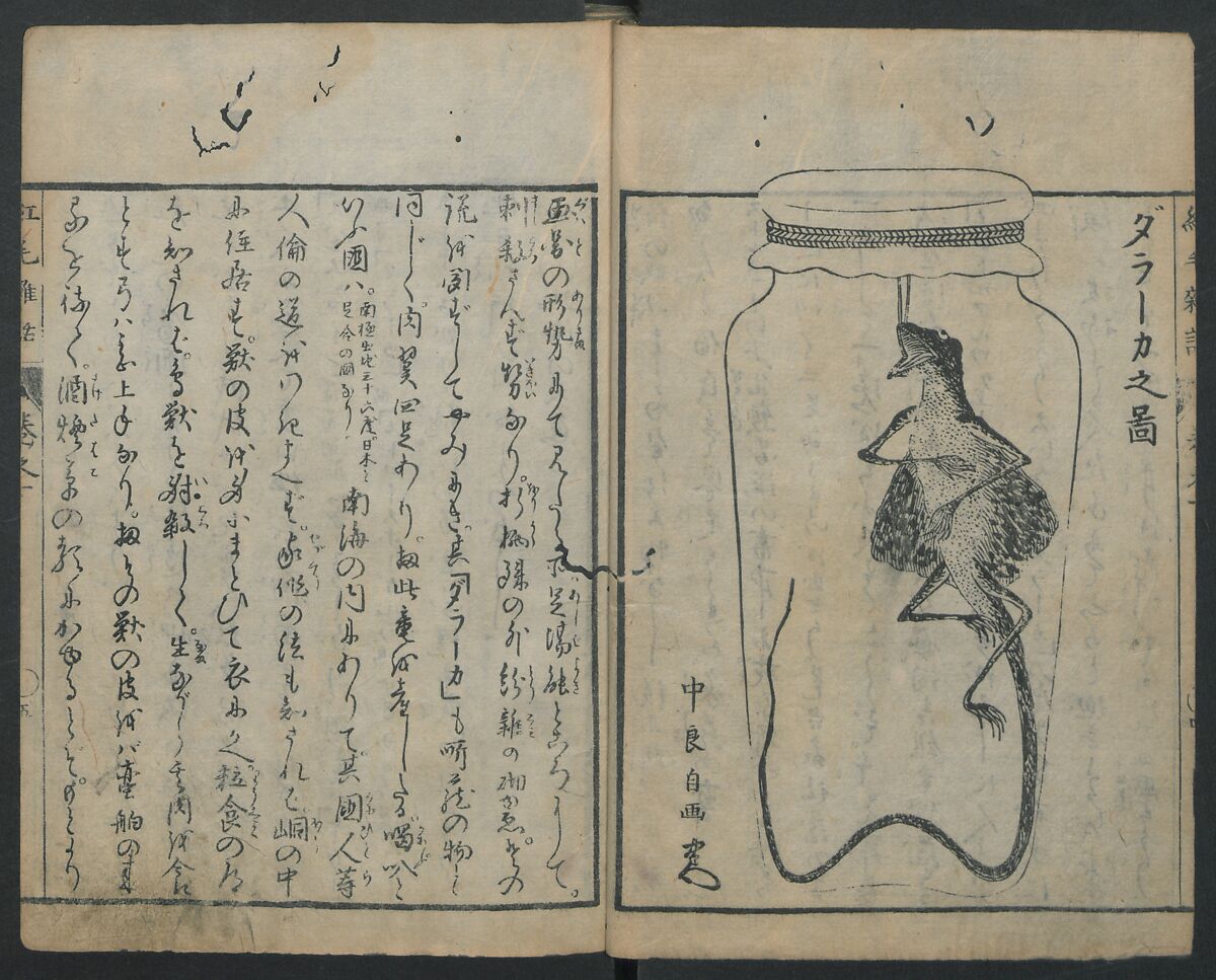 Chats on Novelties of Foreign Lands (Kōmōzatsuwa) 紅毛雑話, Shiba Kōkan 司馬江漢 (Japanese, 1747–1818), Five volumes of woodblock printed books bound as one; ink on paper,, Japan