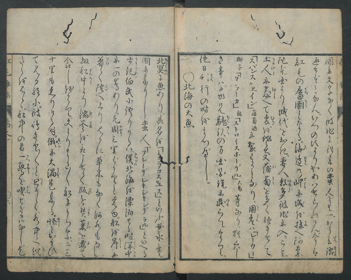 Chats on Novelties of Foreign Lands (Kōmōzatsuwa) 紅毛雑話, Shiba Kōkan 司馬江漢 (Japanese, 1747–1818), Five volumes of woodblock printed books bound as one; ink on paper,, Japan