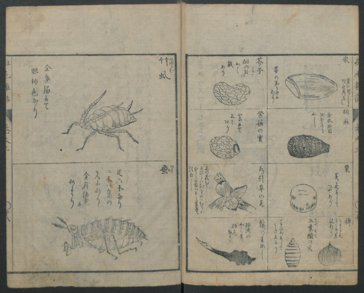 Chats on Novelties of Foreign Lands (Kōmōzatsuwa) 紅毛雑話, Shiba Kōkan 司馬江漢 (Japanese, 1747–1818), Five volumes of woodblock printed books bound as one; ink on paper,, Japan